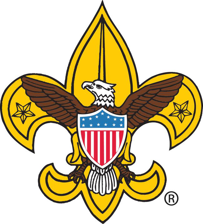 BSA Logo